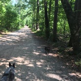 Review photo of Sweetwater Creek State Park Campground by Shelly S., June 15, 2017