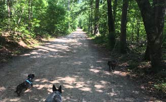 Shelly S.'s photo of camping with pets at Sweetwater Creek State Park Campground near Kennesaw, GA