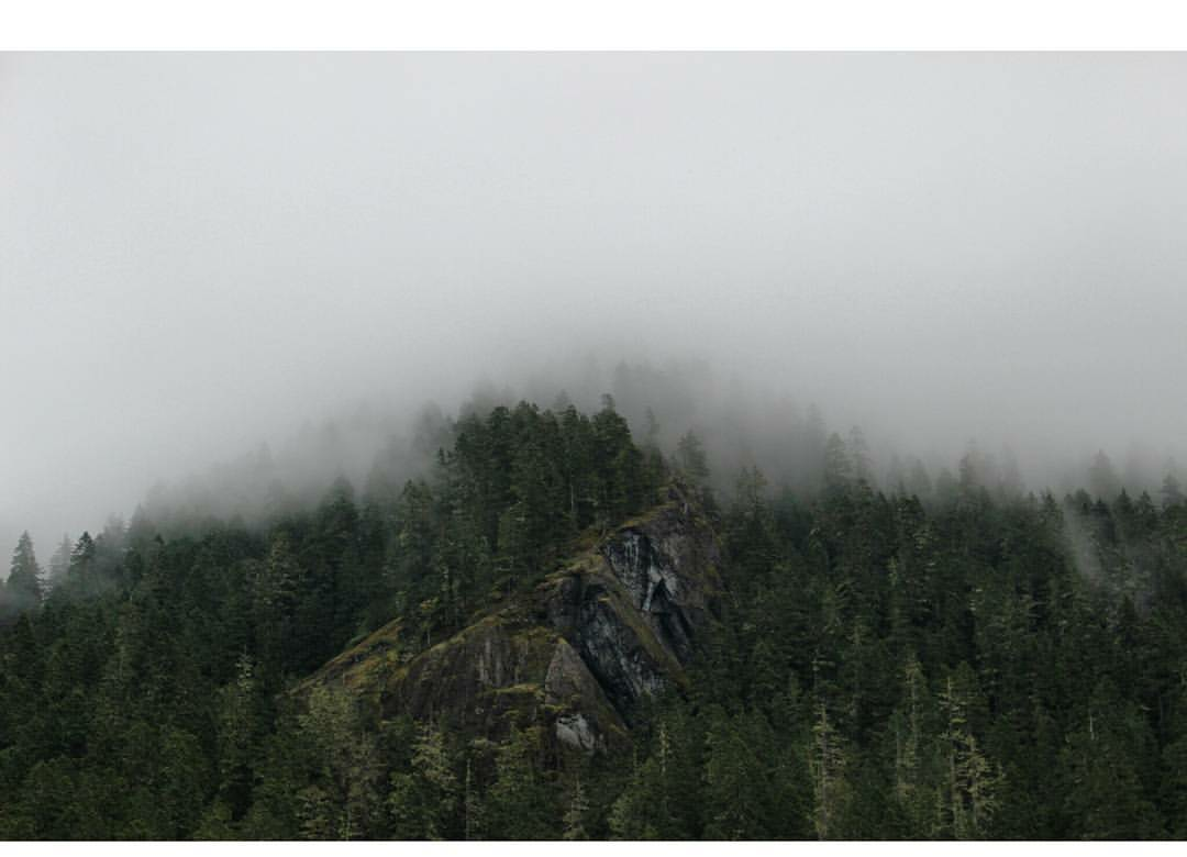 Camper submitted image from Upper Lena Lake — Olympic National Park - 2