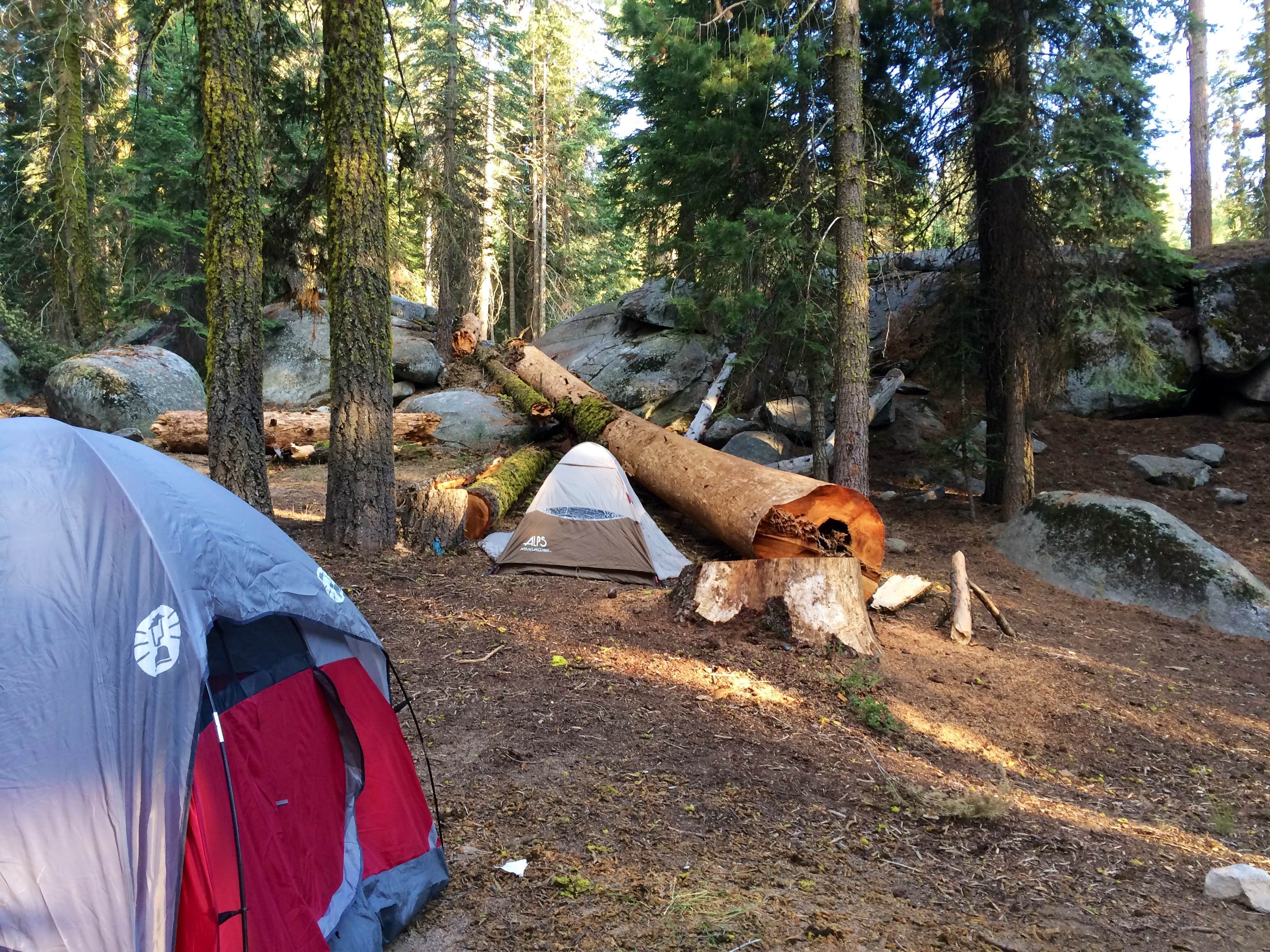 Camper submitted image from Upper Stony Creek Campground — Sequoia National Forest - 2