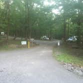 Review photo of Fort Mountain State Park Campground by Shelly S., June 15, 2017