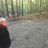 Review photo of Fort Mountain State Park Campground by Shelly S., June 15, 2017