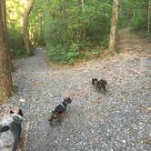 Review photo of Fort Mountain State Park Campground by Shelly S., June 15, 2017