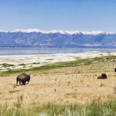 Review photo of Antelope Island State Park Campground by Kim K., June 15, 2017
