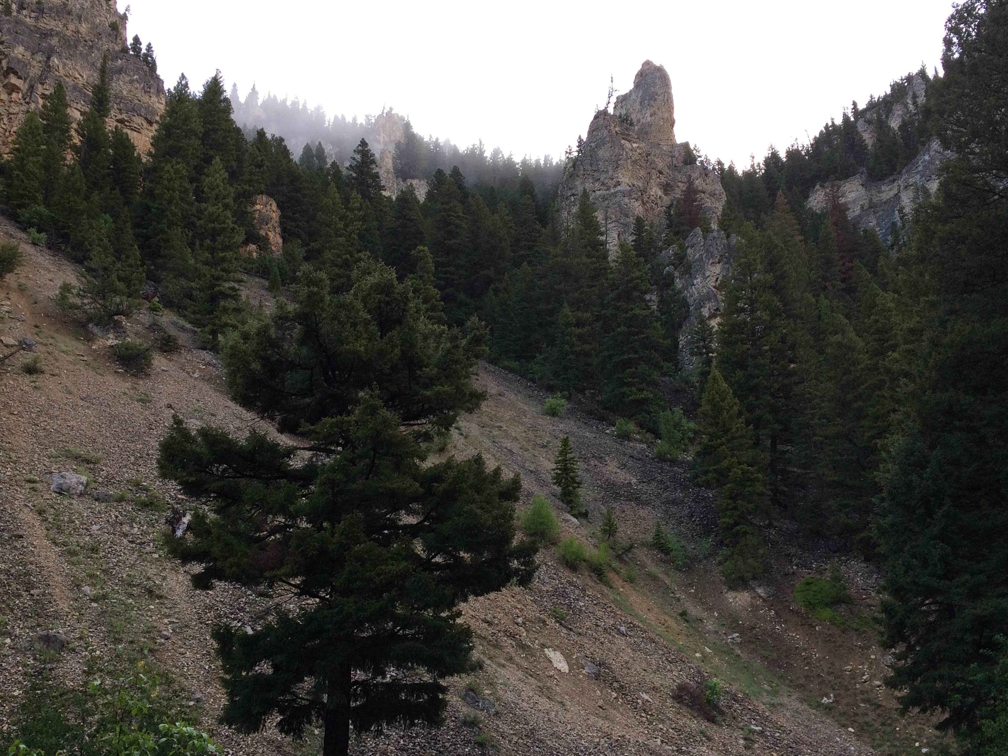 Camper submitted image from Spire Rock Campground - 2