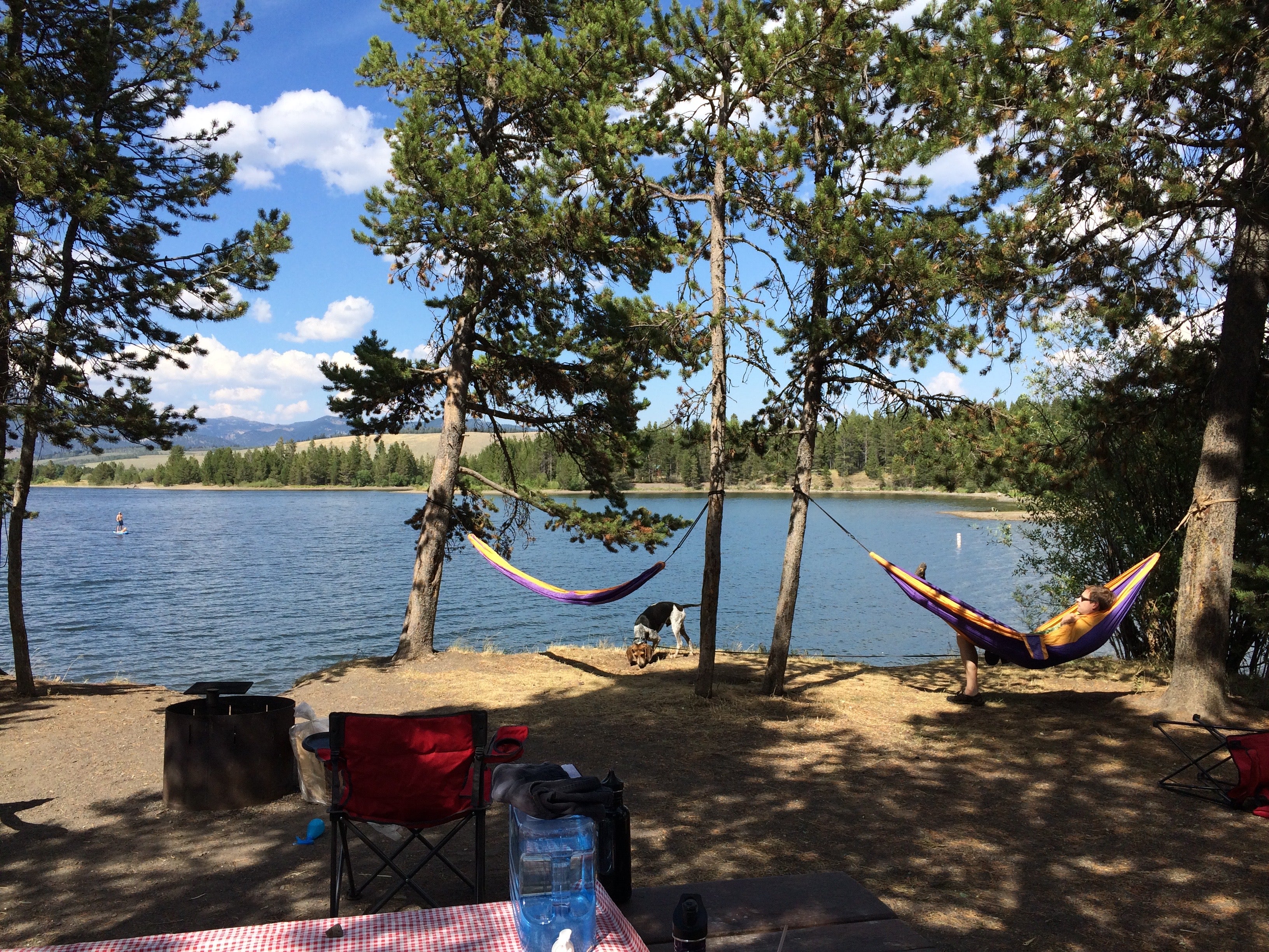 Camper submitted image from Lonesomehurst Campground - 5
