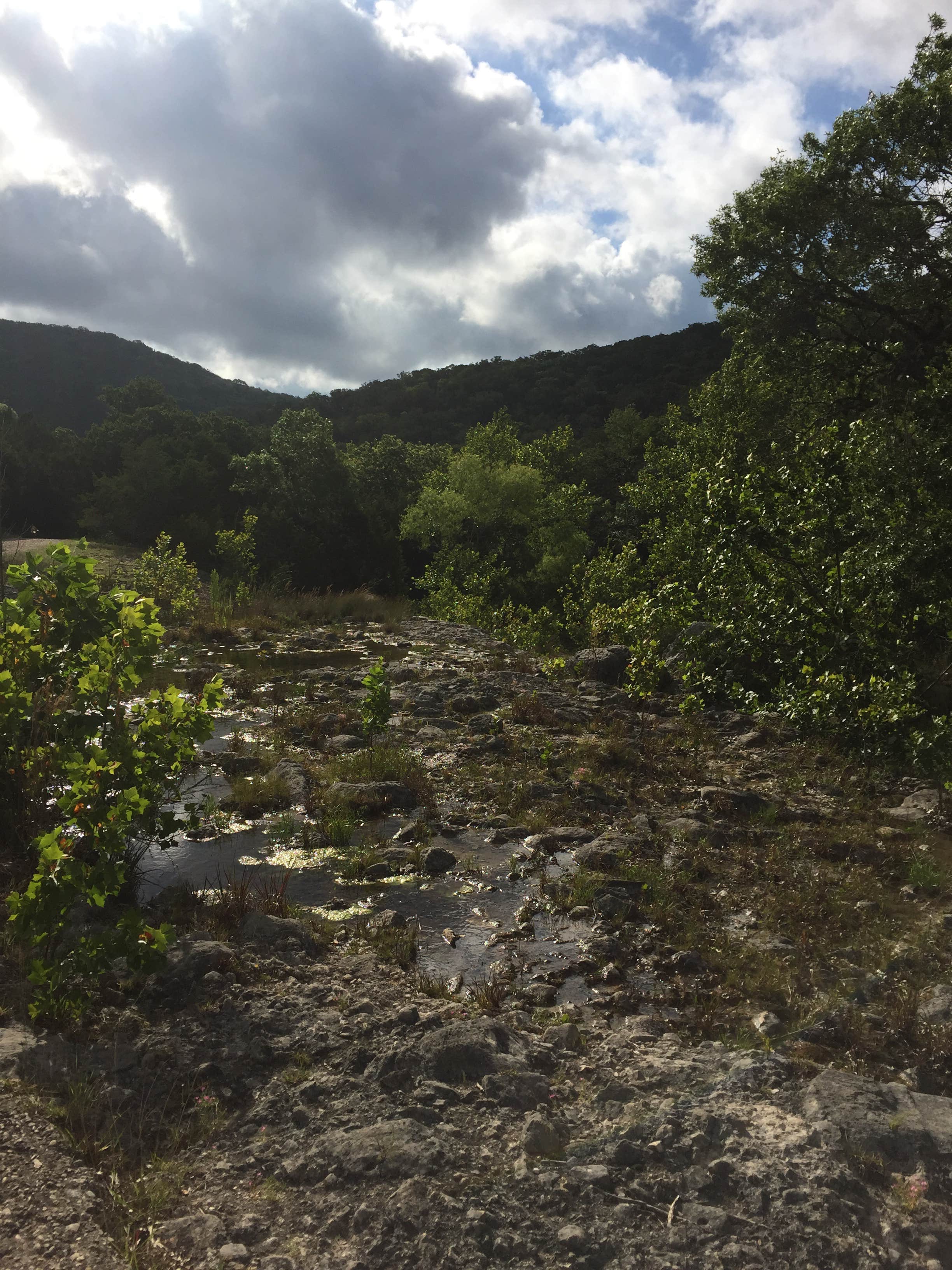 Camper submitted image from Lost Maples State Natural Area - 4