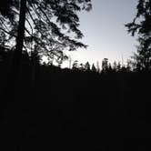 Review photo of Larch Mountain by Bjorn S., June 21, 2016