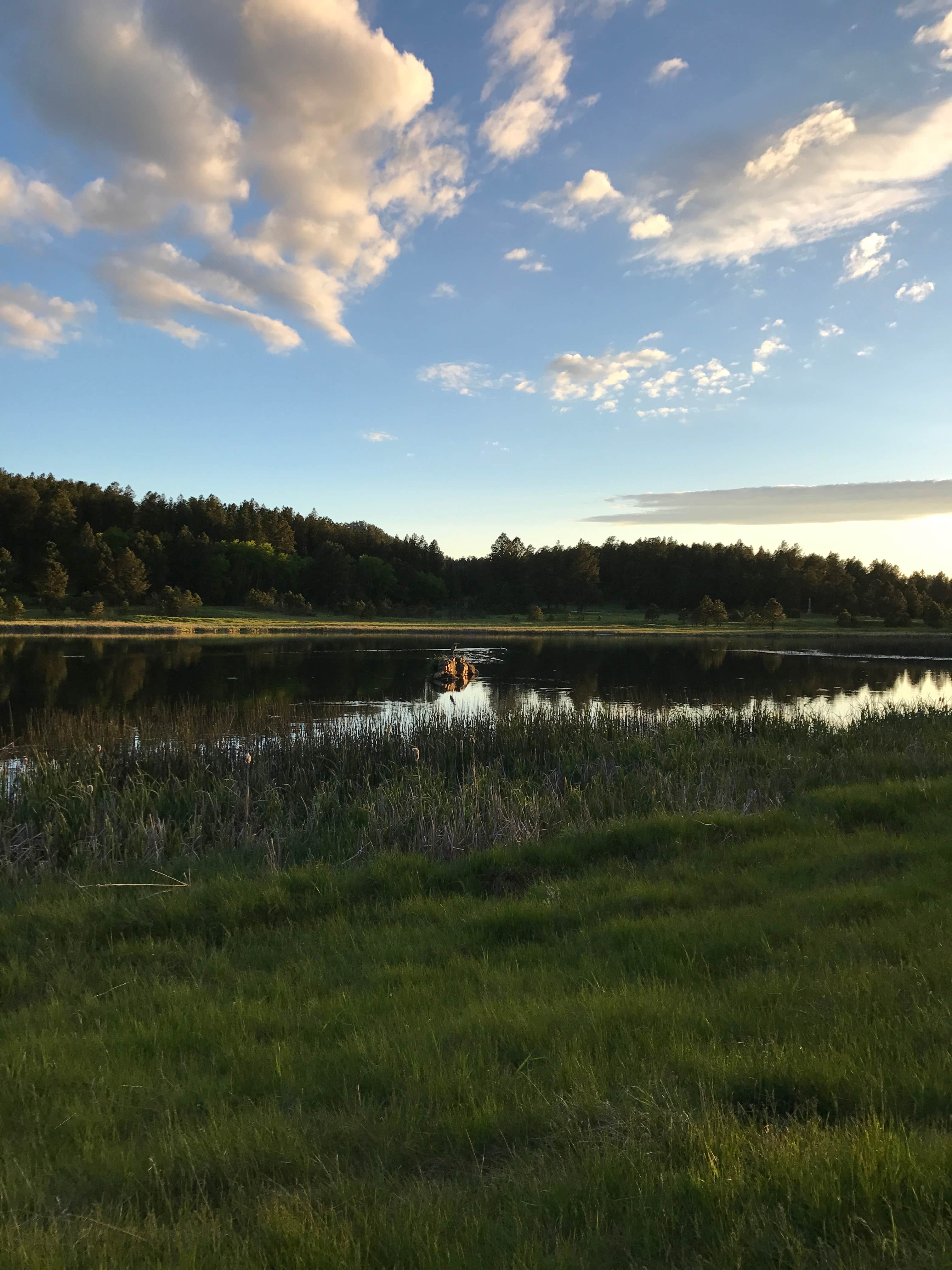 Camper submitted image from Legion Lake Campground — Custer State Park - 2