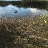 Review photo of Legion Lake Campground — Custer State Park by Jennie R., June 17, 2017