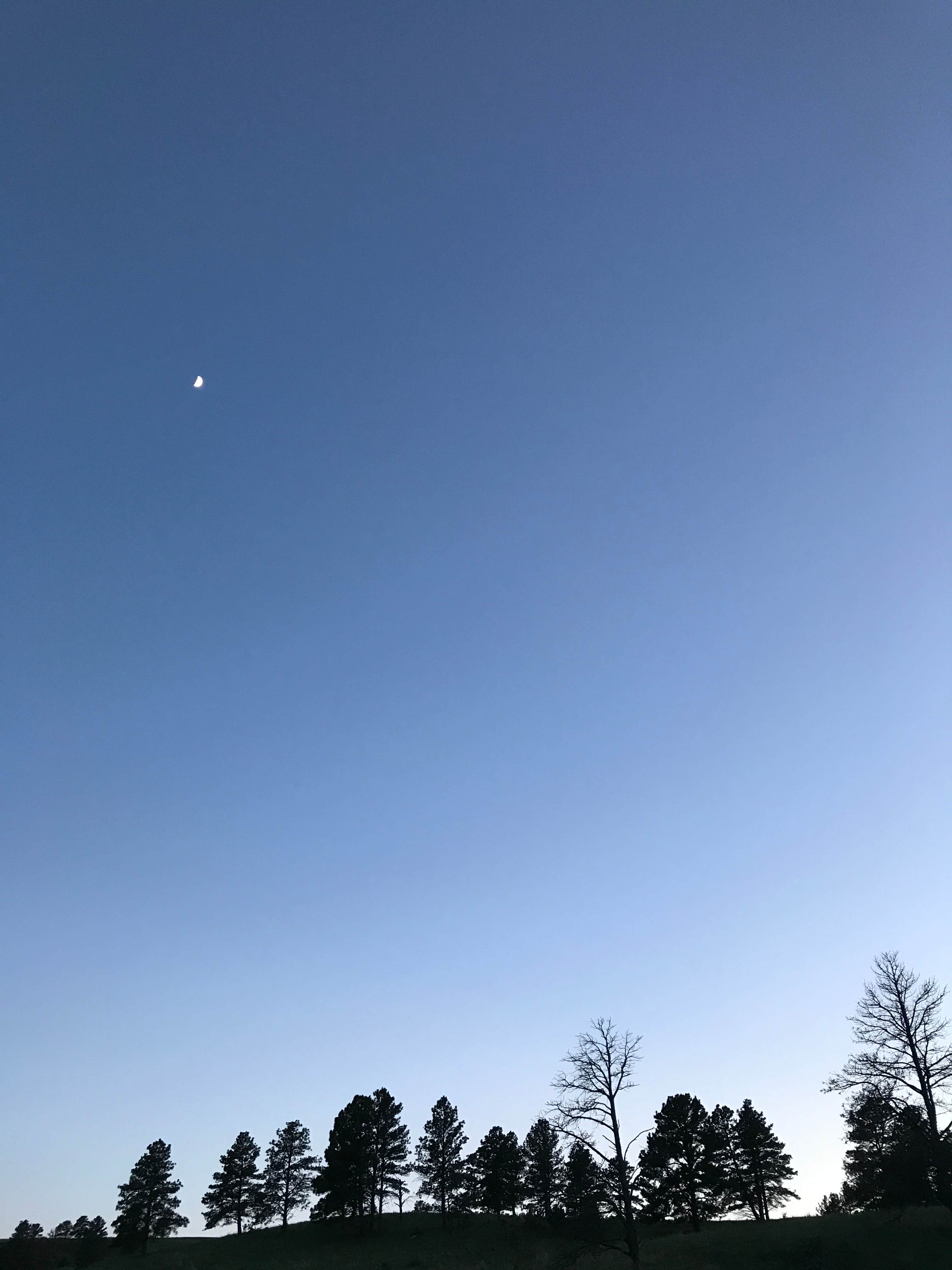 Camper-submitted photo at Legion Lake Campground — Custer State Park near Fairburn, SD