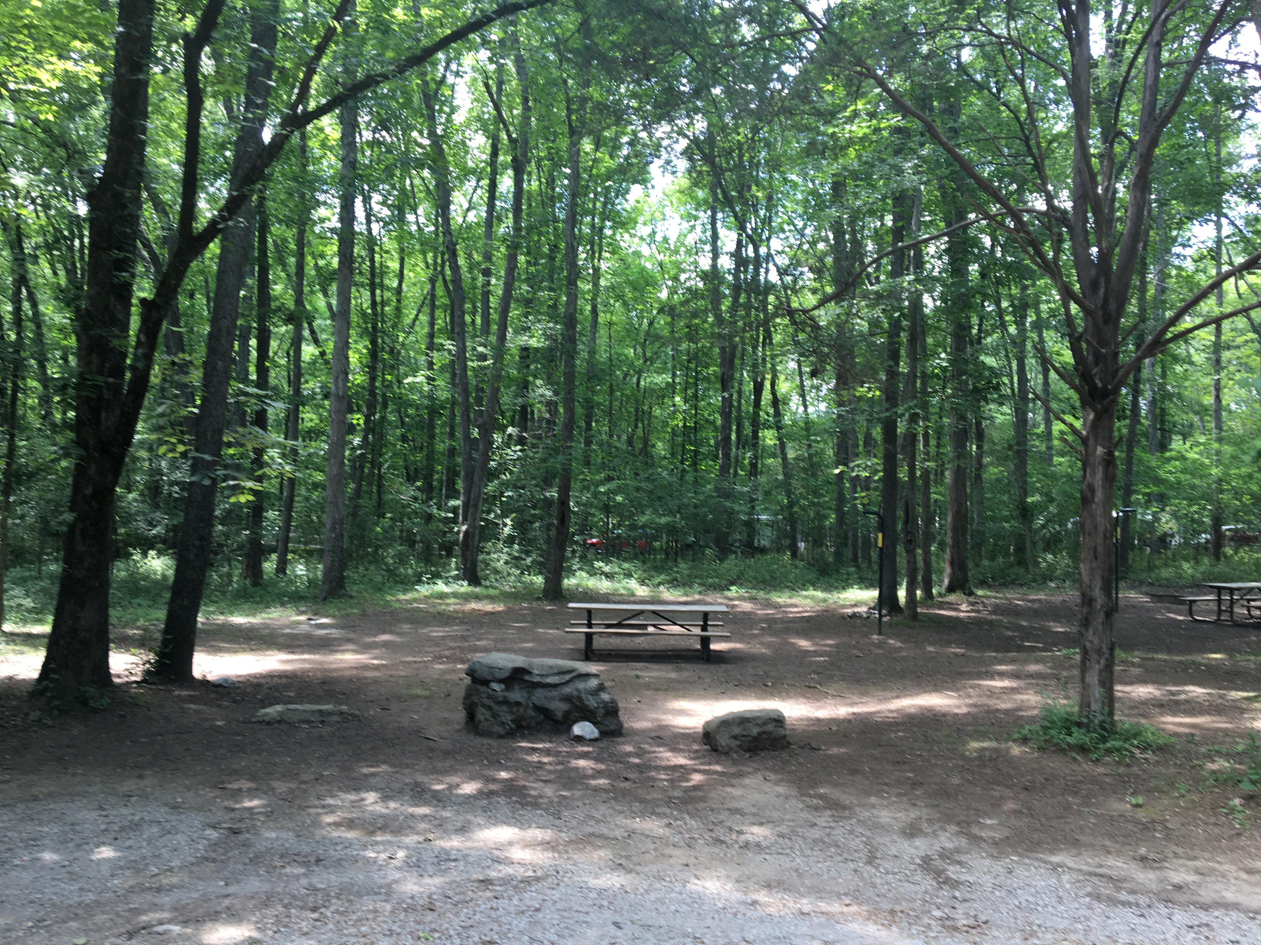 Camper submitted image from Henry Horton State Park - 2