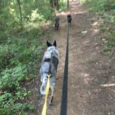 Review photo of Henry Horton State Park Campground by Shelly S., June 17, 2017