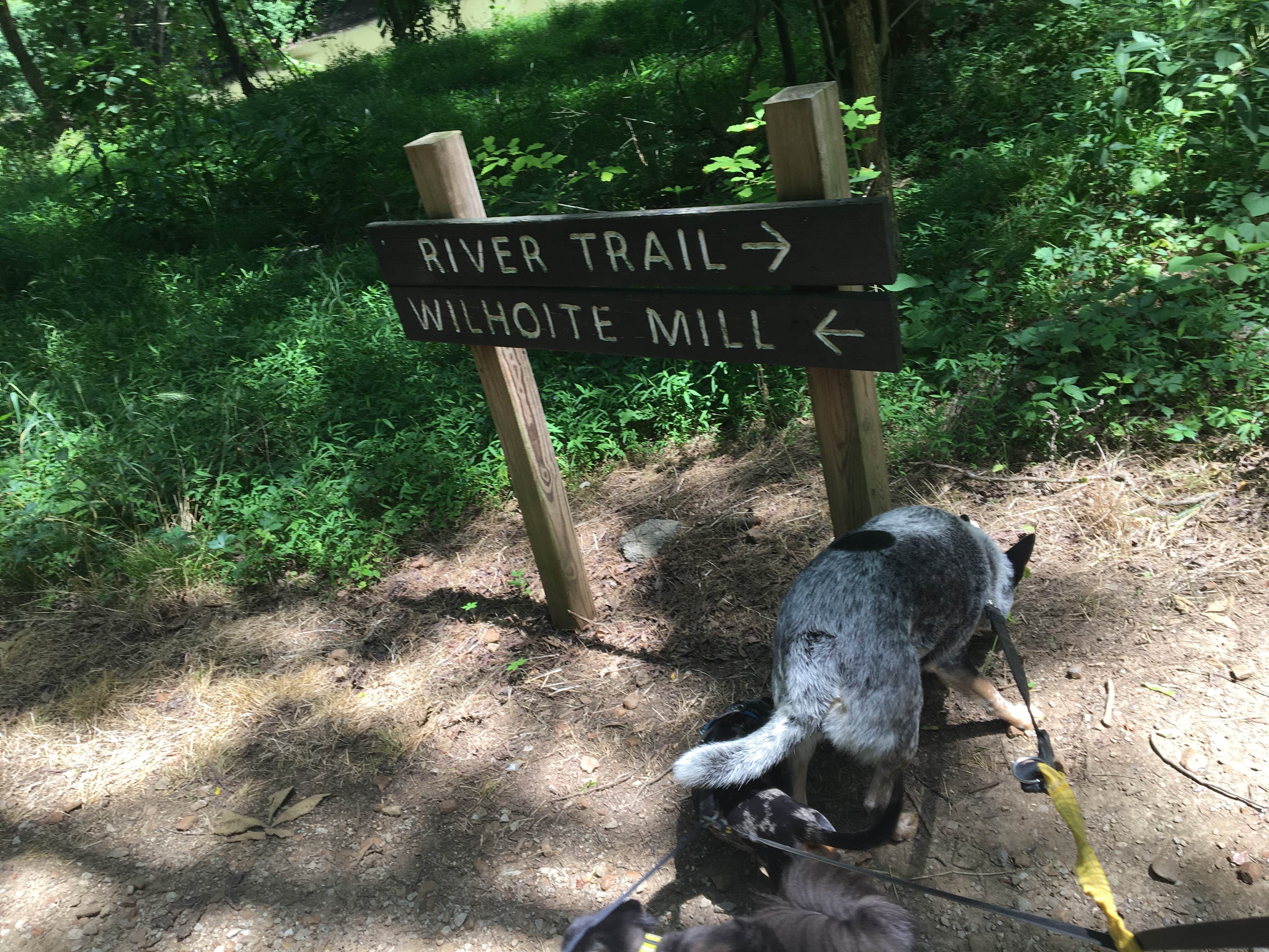 Camper submitted image from Henry Horton State Park Campground - 5