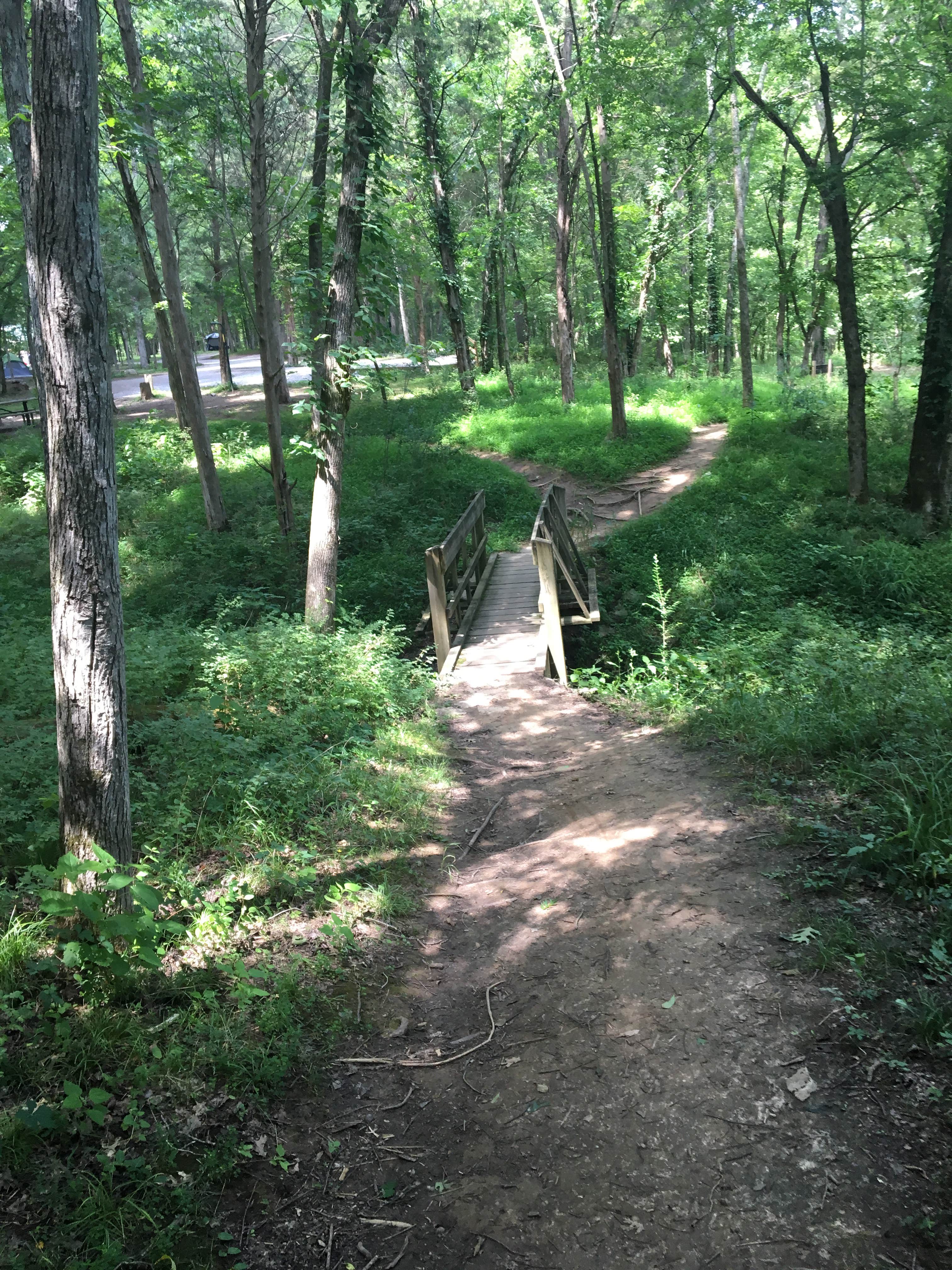 Henry horton state park hiking trails store