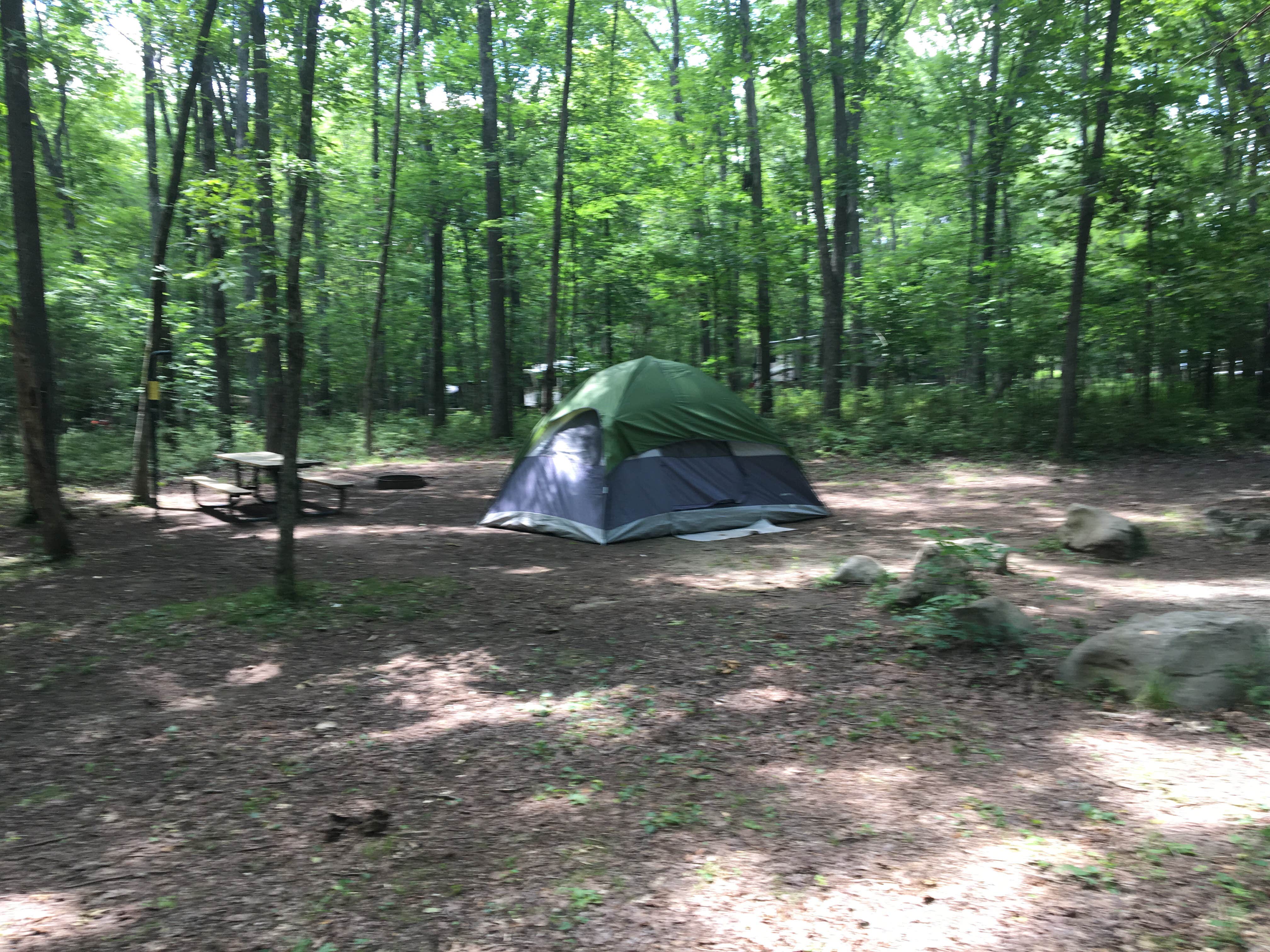 Camper submitted image from Henry Horton State Park Campground - 4