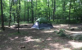 Shelly S.'s photo at Henry Horton State Park Campground near Shiloh, TN