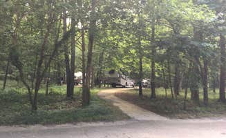 Shelly S.'s photo of rv camping at Henry Horton State Park Campground near Summertown, TN