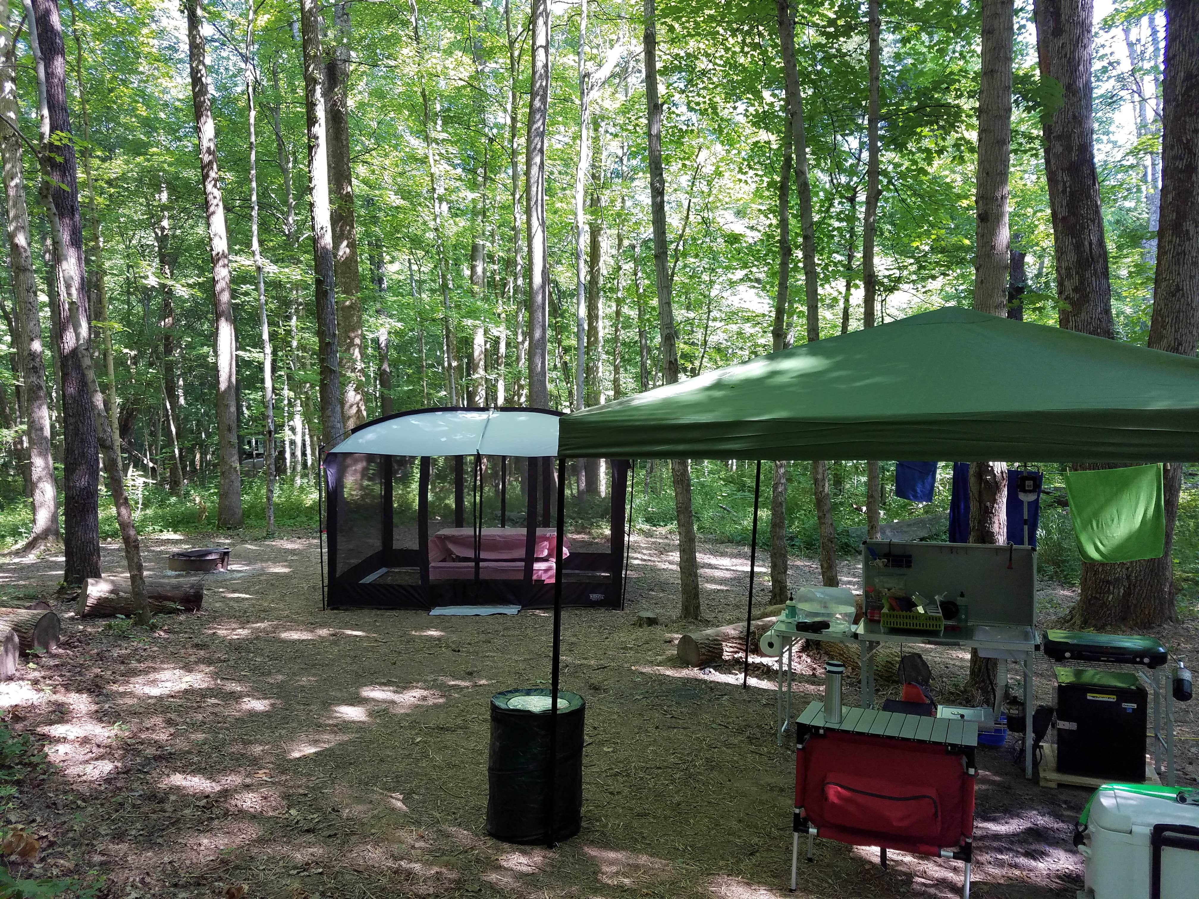 Camper submitted image from Spring Mill State Park Campground - 5