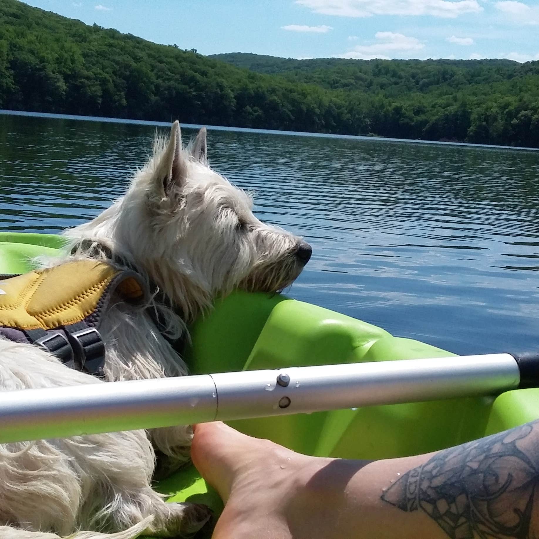 Escape the City: Your Guide to New York's Beaver Pond Campground