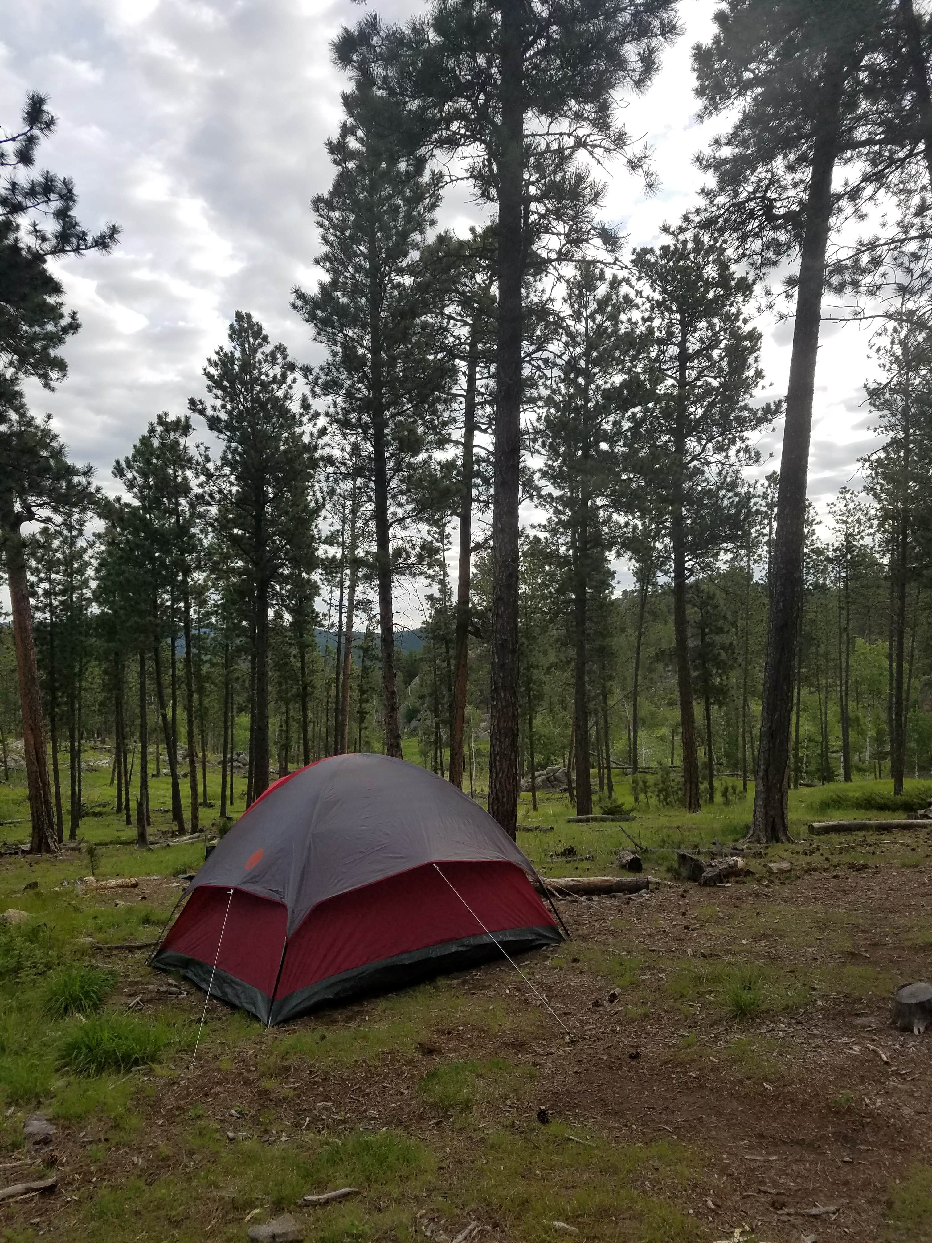 Adam M.'s photo of tent camping at Wrinkled Rock near Silver City, SD