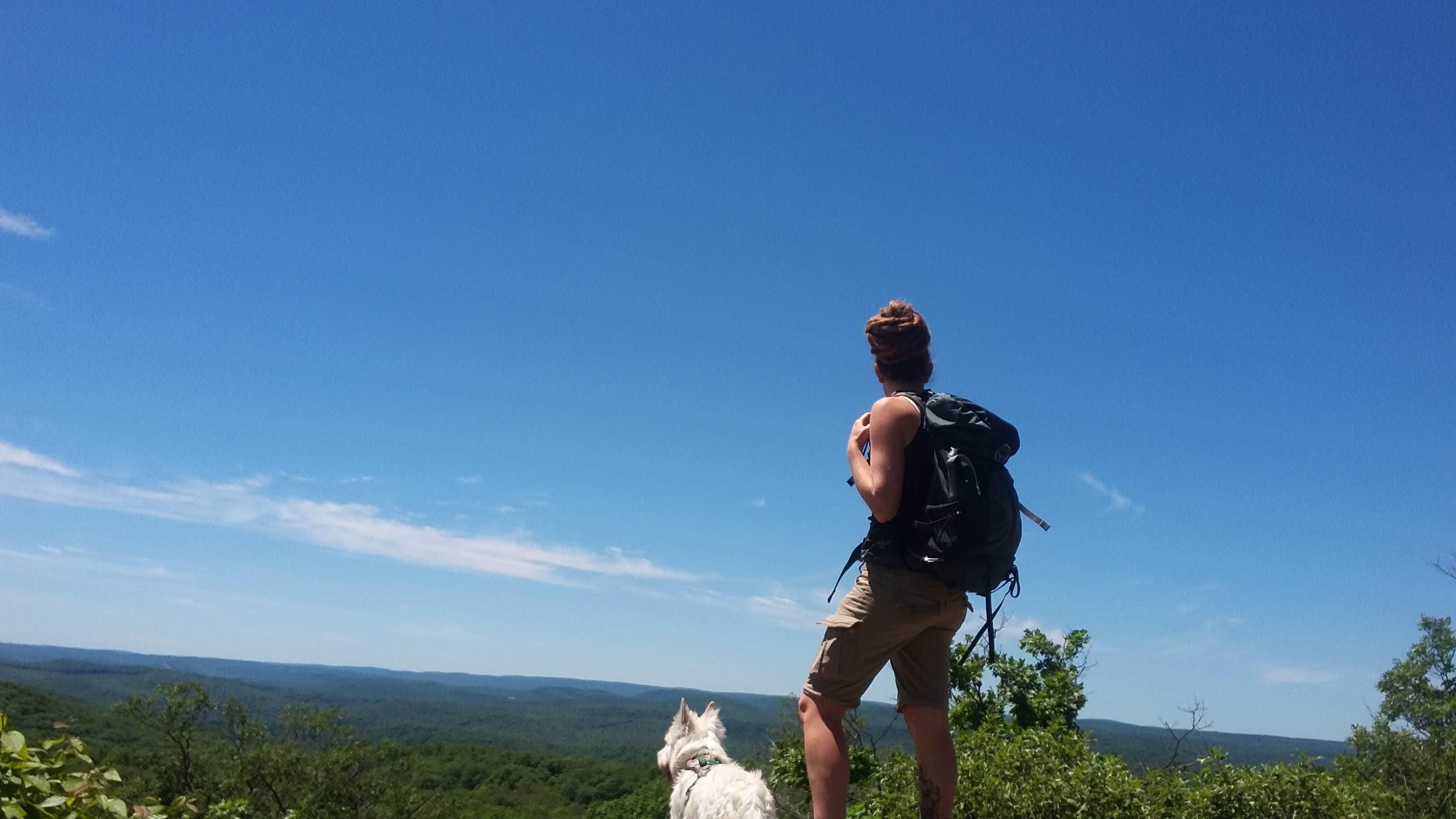 Camper submitted image from Beaver Pond Campground — Harriman State Park - 3