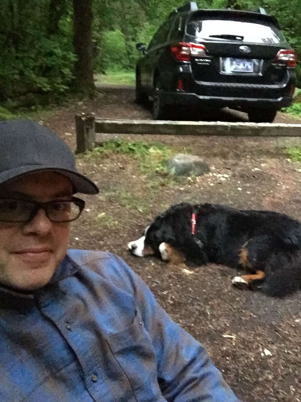 Camper submitted image from Kiahanie Campground - 5