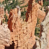 Review photo of North Campground — Bryce Canyon National Park by Will M., June 17, 2017