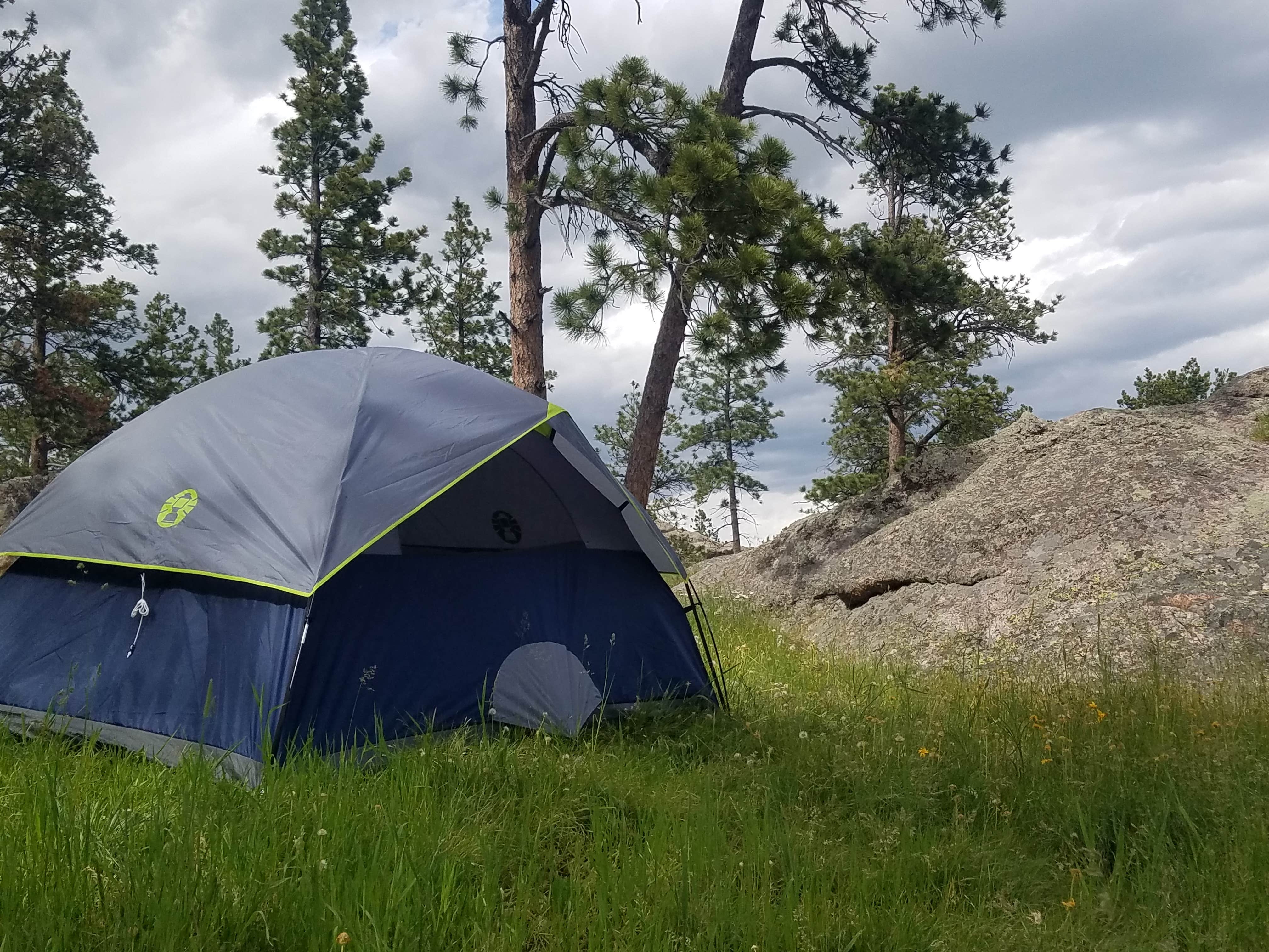 Camper-submitted photo at Esterbrook Campground — Medicine Bow Routt NFS & Thunder Basin Ng near Douglas, WY