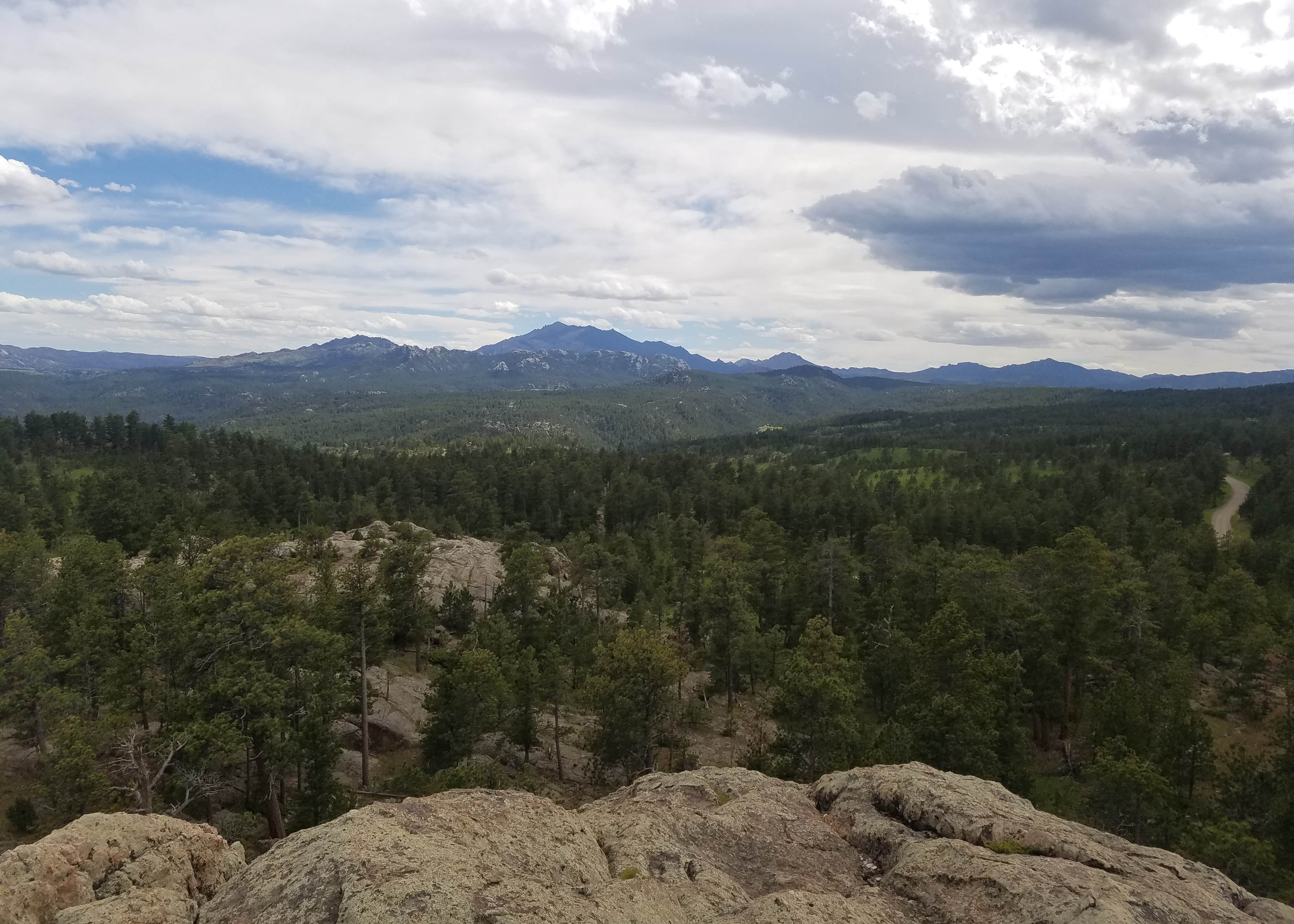 View All