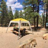 Review photo of Mather Campground — Grand Canyon National Park by Alicia O., June 17, 2017