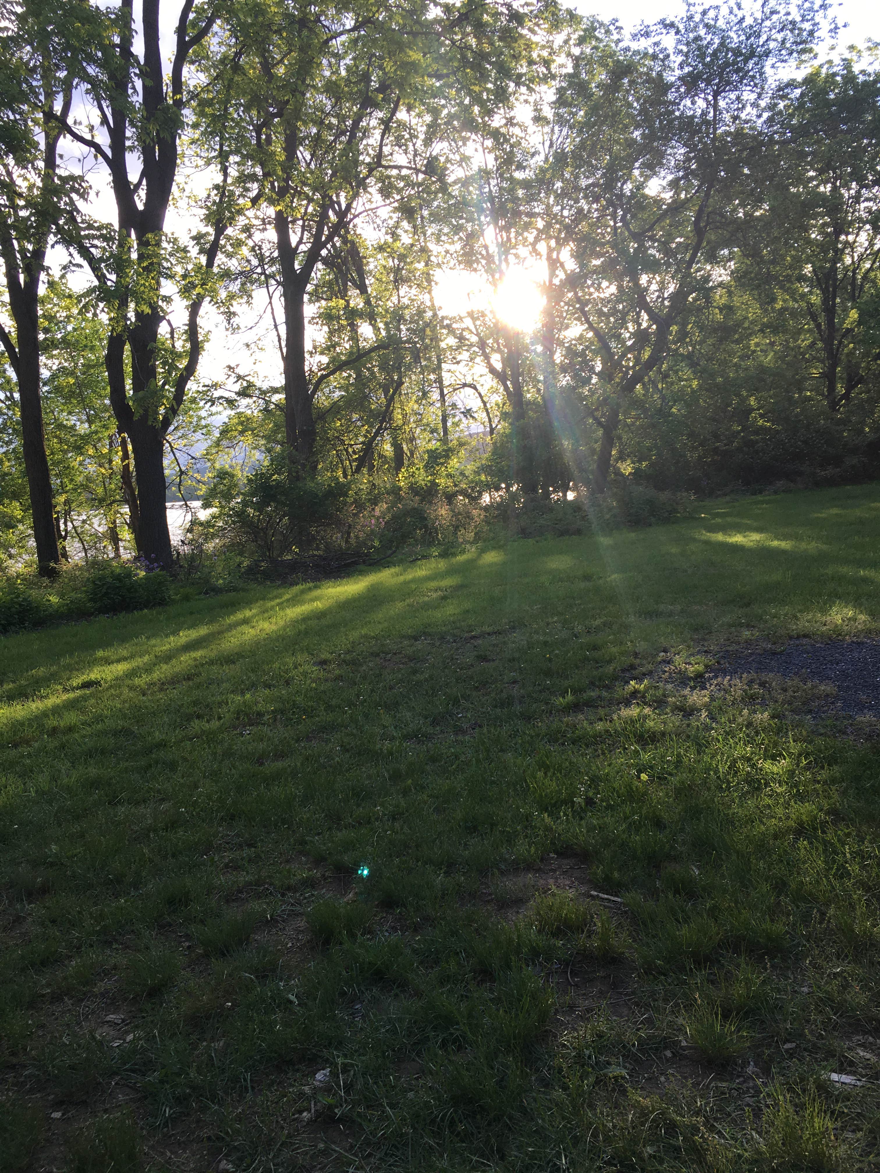Camper submitted image from Spruce Run Recreation Area - 2