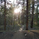 Review photo of Father Dyer by Julie E., June 18, 2017