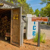 Review photo of Traverse City State Park Campground by Shari  G., June 18, 2017