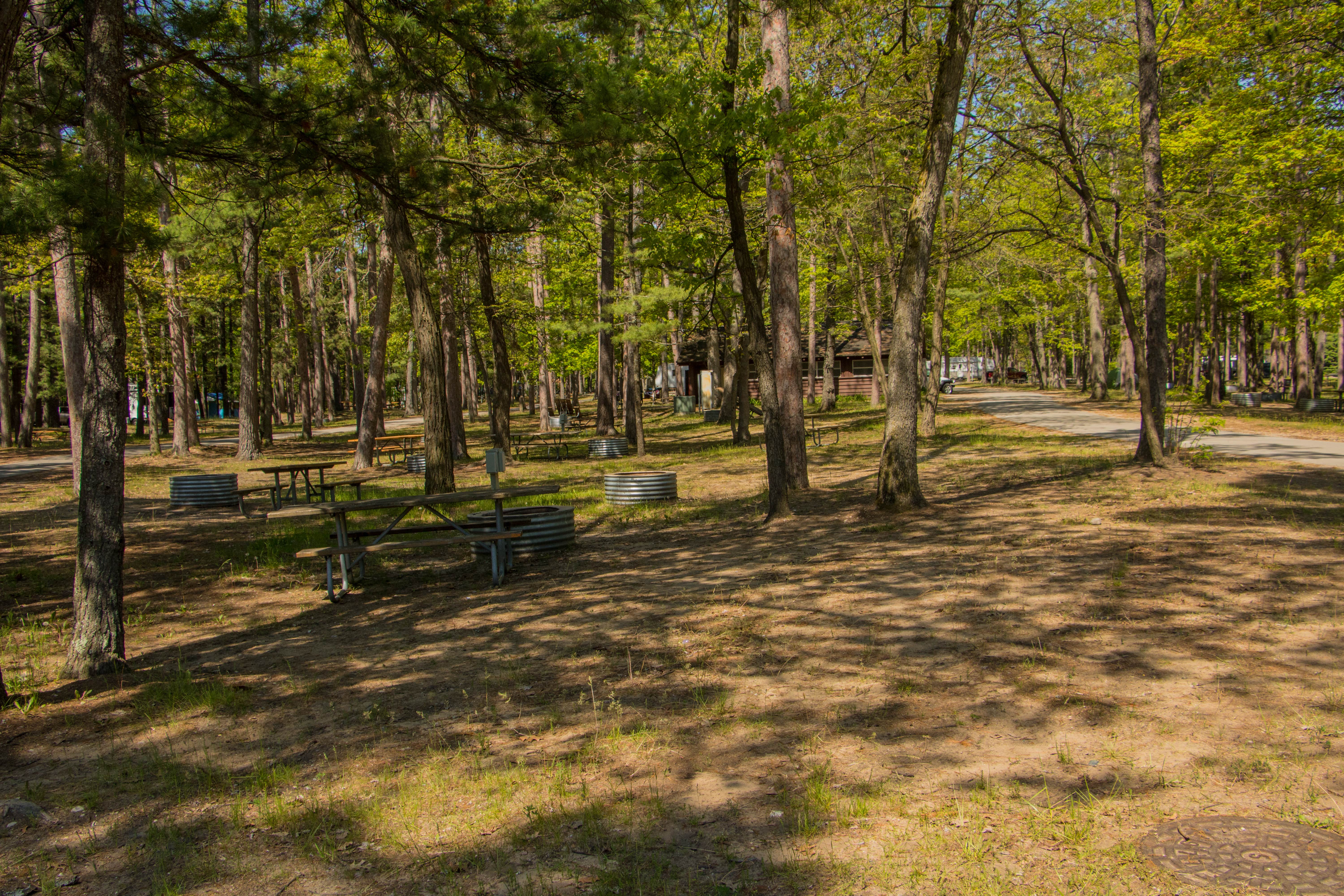 Camper-submitted photo at Traverse City State Park Campground near South Boardman, MI