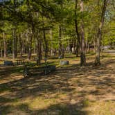 Review photo of Traverse City State Park Campground by Shari  G., June 18, 2017