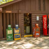 Review photo of Traverse City State Park Campground by Shari  G., June 18, 2017