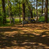 Review photo of Traverse City State Park Campground by Shari  G., June 18, 2017