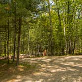 Review photo of Platte River Campground — Sleeping Bear Dunes National Lakeshore by Shari  G., June 18, 2017