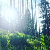Review photo of Jacks Creek Horse Camp by Gretchen N., June 21, 2016