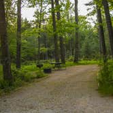 Review photo of Platte River Campground — Sleeping Bear Dunes National Lakeshore by Shari  G., June 18, 2017