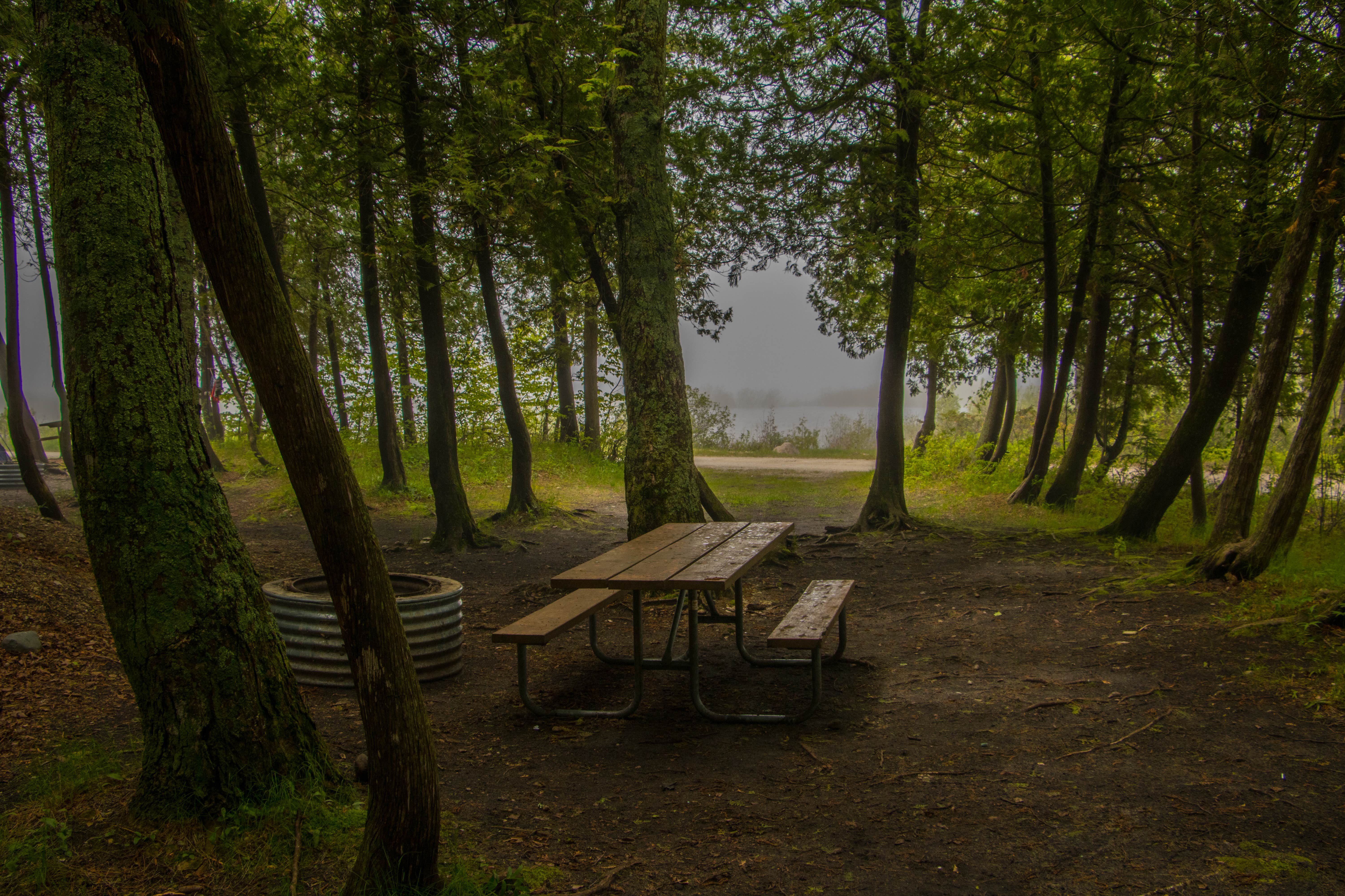 Camper submitted image from Leelanau State Park Campground - 3