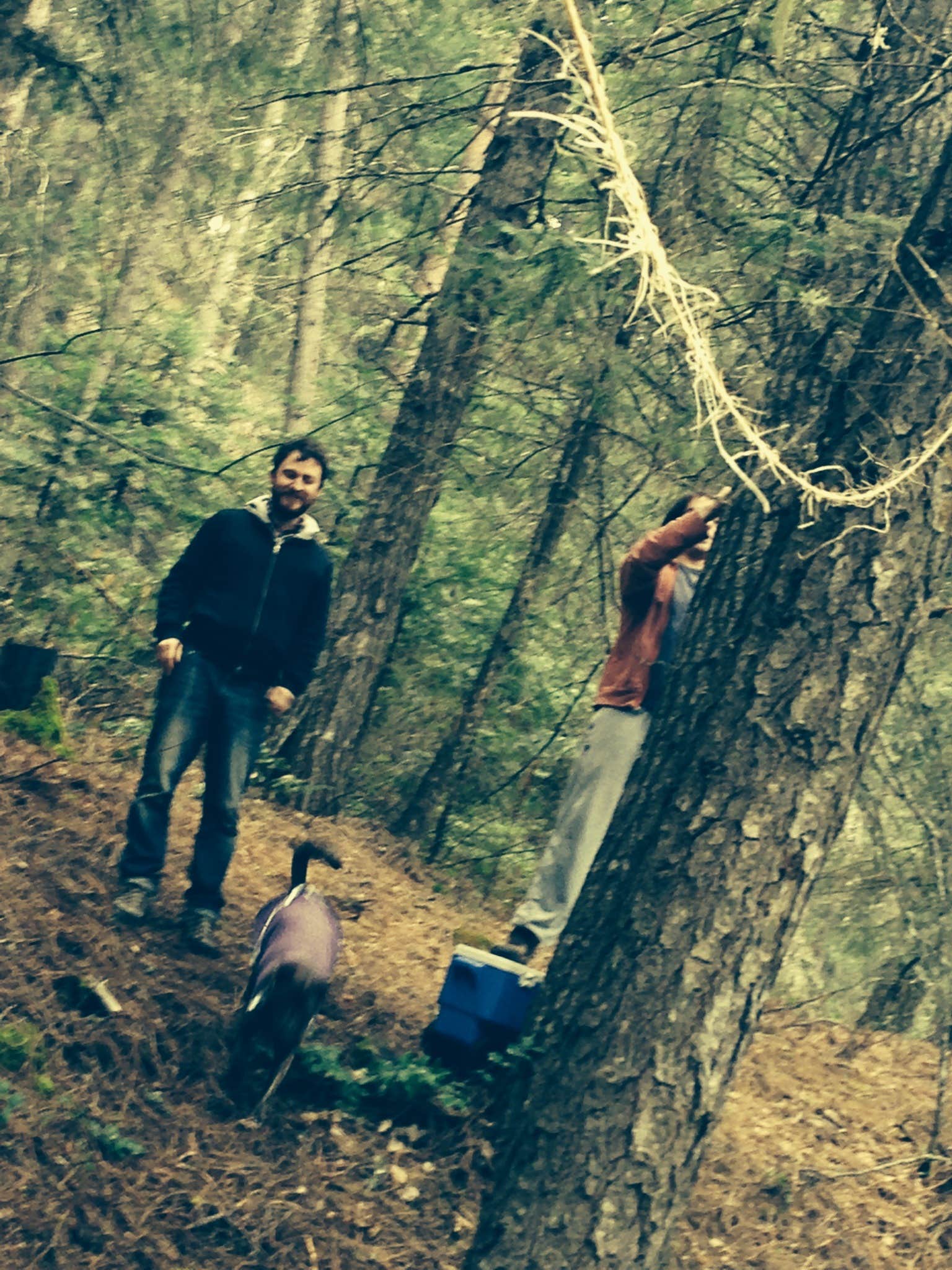 Camper submitted image from Bonney Crossing - 3