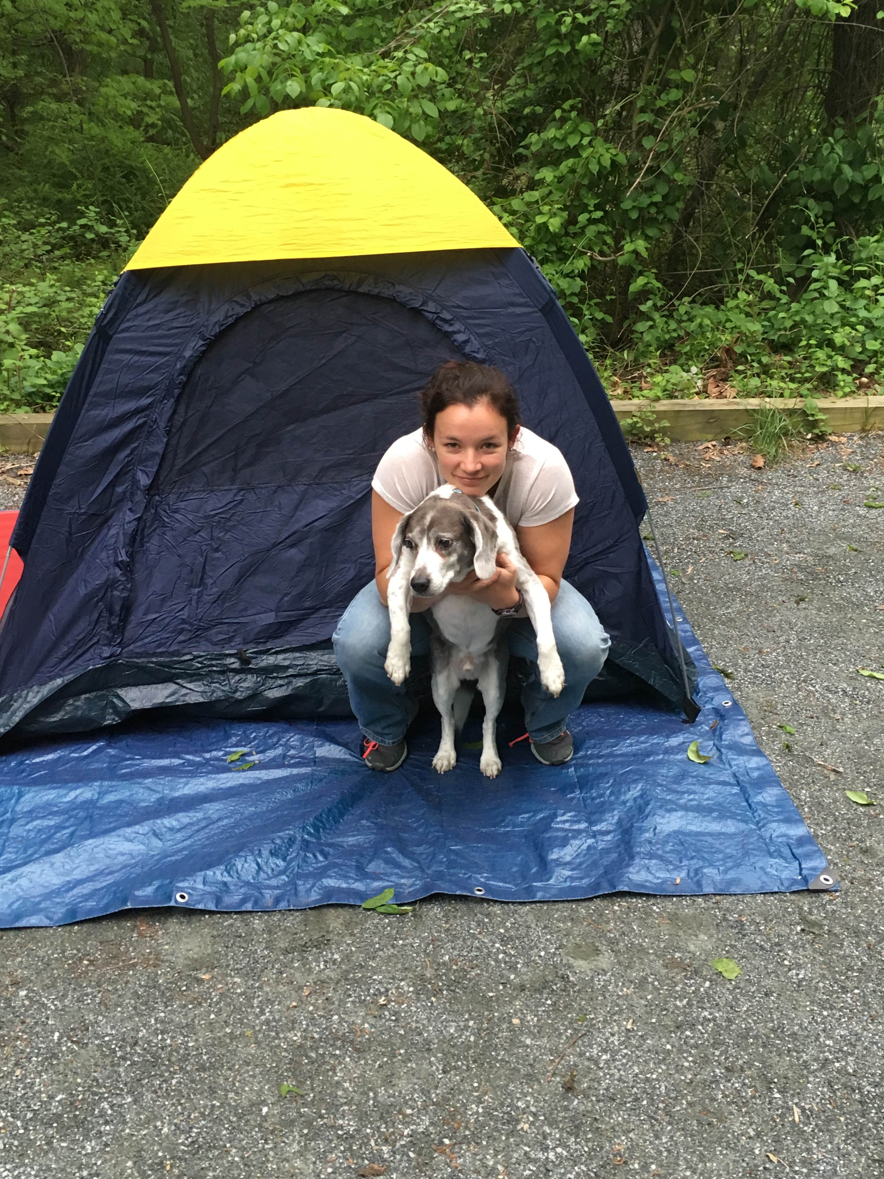 Kelly C.'s photo at Hollofield Area Campground near Mount Airy, MD