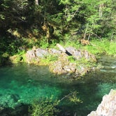 Review photo of Opal Pool Campsites by Katie B., June 18, 2017