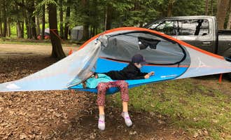 Camping near Outflow Recreation Area (PA): Cook Forest State Park Campground, Cooksburg, Pennsylvania