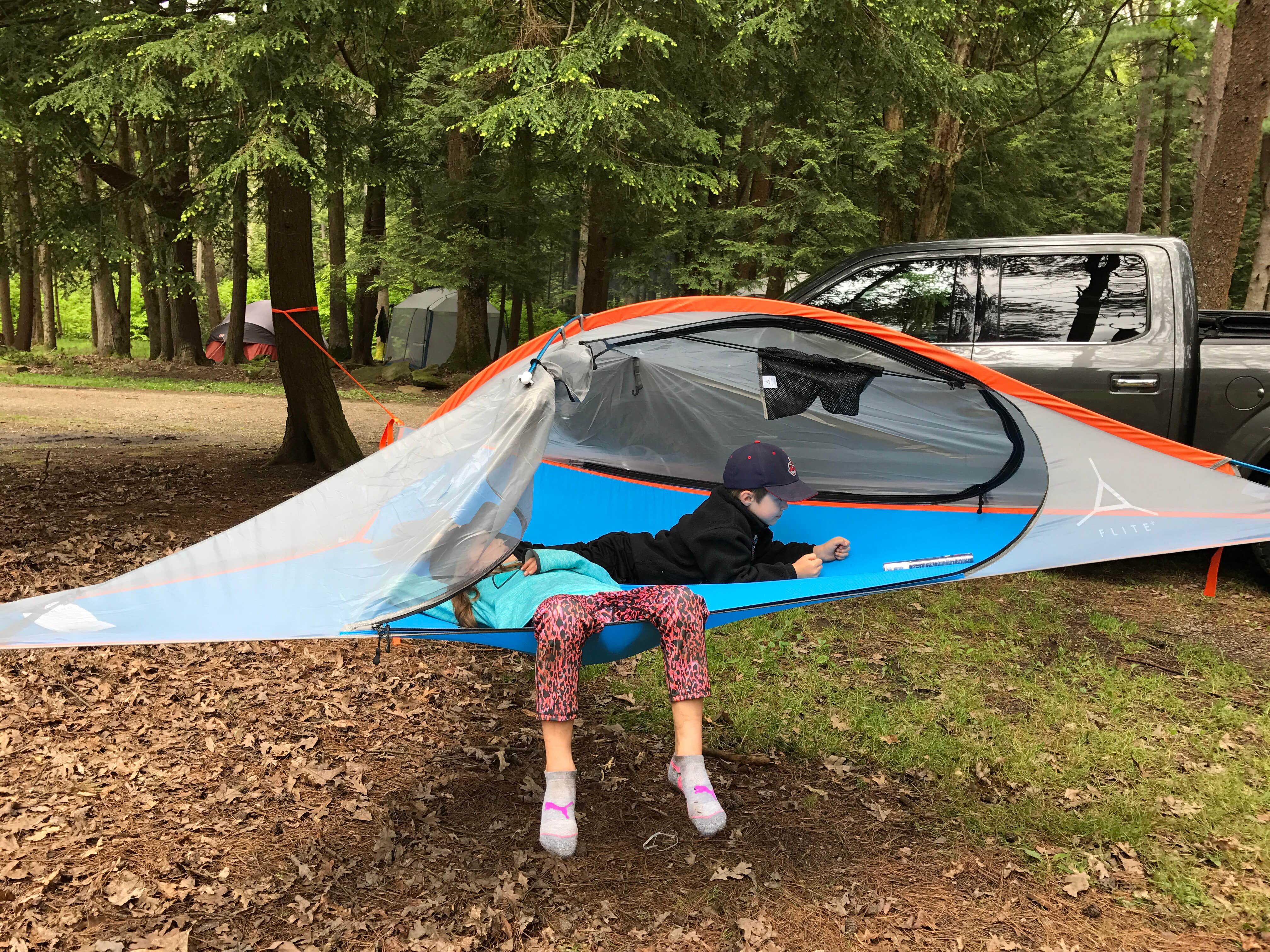 Camper submitted image from Cook Forest State Park Campground - 1