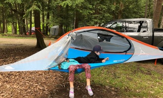 Camping near Loleta Recreation: Cook Forest State Park, Cooksburg, Pennsylvania