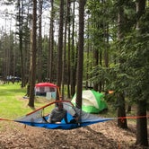 Review photo of Cook Forest State Park Campground by Erin H., June 19, 2017