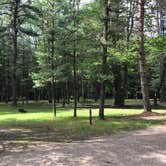 Review photo of Cook Forest State Park Campground & Cabins by Erin H., June 19, 2017